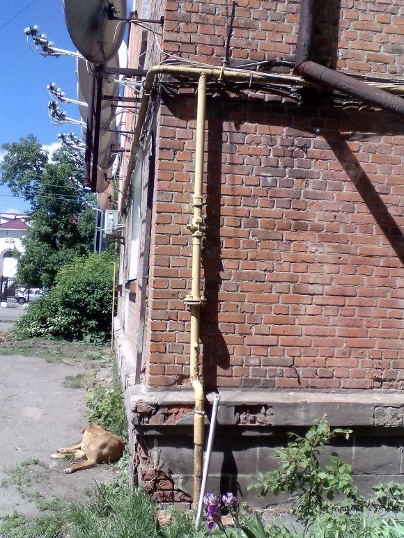 Новини Козятина - фото з Прибираємося лише для губернатора Прибираємося лише для губернатора, фото №24 на сайті 20minut.ua