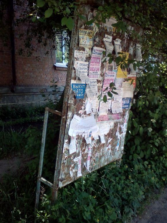 Новини Козятина - фото з Прибираємося лише для губернатора Прибираємося лише для губернатора, фото №21 на сайті 20minut.ua