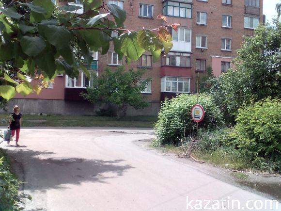 Новини Козятина - фото з Не доасфальтували вулицю Шевченка ще до Пузиря Не доасфальтували вулицю Шевченка ще до Пузиря, фото №2 на сайті 20minut.ua