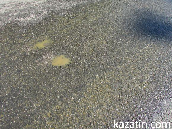 Новини Козятина - фото з Асенізаторська машина залишає на поворотах не гарний слід Асенізаторська машина залишає на поворотах не гарний слід, фото №1 на сайті 20minut.ua