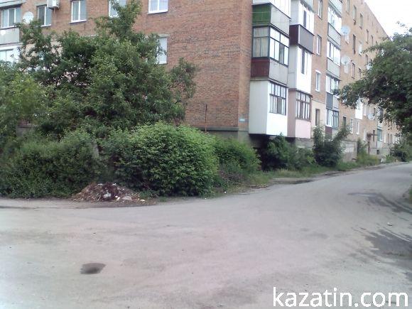 Новини Козятина - фото з Не доасфальтували вулицю Шевченка ще до Пузиря Не доасфальтували вулицю Шевченка ще до Пузиря, фото №14 на сайті 20minut.ua