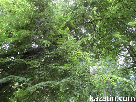 Новини Козятина - фото з Чи потрібні нам легені? Чи потрібні нам легені?, фото №18 на сайті 20minut.ua