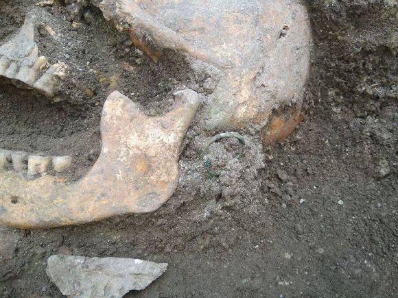 Неймовірна знахідка: у Кам’янці археологи натрапили на давньоруське поховання, фото №3 на сайті vsim.ua