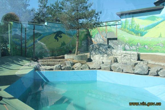 У  Подільському зоопарку відкрили велике ведмеже містечко, фото №2 на сайті 20minut.ua