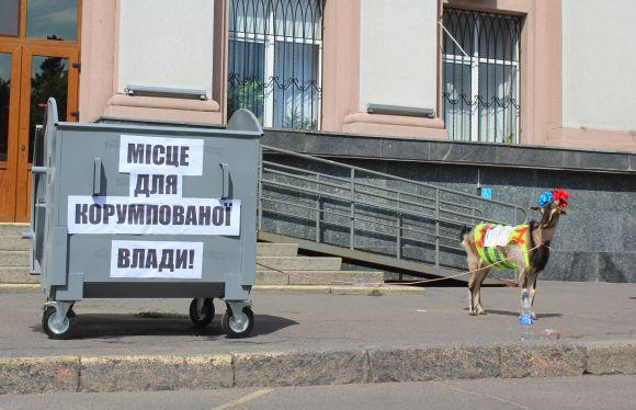 Новини Вінниці - фото з У Вінниці мітингували проти «свавілля патрульної поліції». Під суд привели козу У Вінниці мітингували проти «свавілля патрульної поліції». Під суд привели козу, фото №3 на сайті 20minut.ua