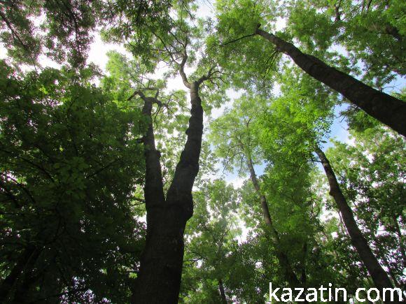 Новини Козятина - фото з Чи потрібні нам легені? Чи потрібні нам легені?, фото №14 на сайті 20minut.ua