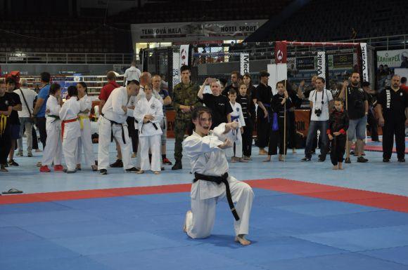 Новини Хмельницького - фото з Хмельничани привезли нагороди із міжнародних змагань "Dragon Cup 2018" Хмельничани привезли нагороди із міжнародних змагань "Dragon Cup 2018", фото №1 на сайті vsim.ua