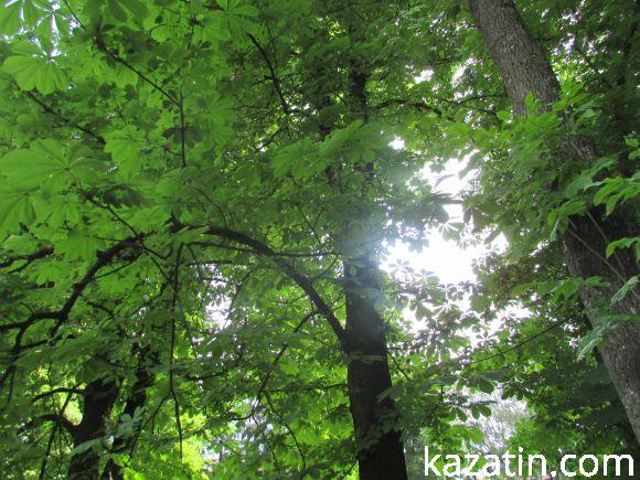 Новини Козятина - фото з Чи потрібні нам легені? Чи потрібні нам легені?, фото №8 на сайті 20minut.ua