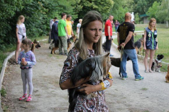 Змагання чотирилапих: яких собак можна було побачити на виставці у Кам’янці? (ФОТОЗВІТ), фото №8 на сайті 20minut.ua