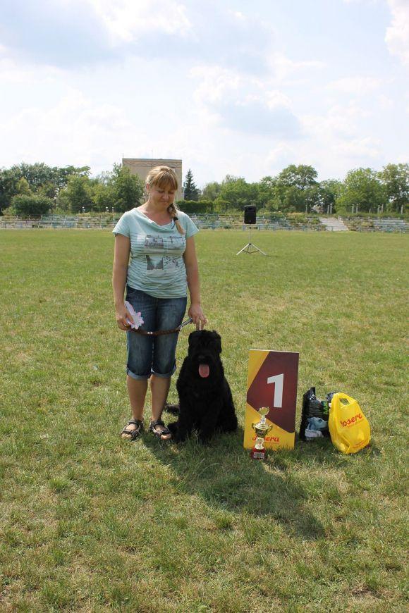 Змагання чотирилапих: яких собак можна було побачити на виставці у Кам’янці? (ФОТОЗВІТ), фото №13 на сайті 20minut.ua