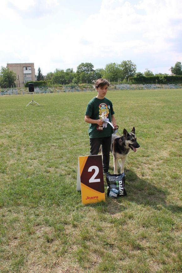 Змагання чотирилапих: яких собак можна було побачити на виставці у Кам’янці? (ФОТОЗВІТ), фото №16 на сайті 20minut.ua