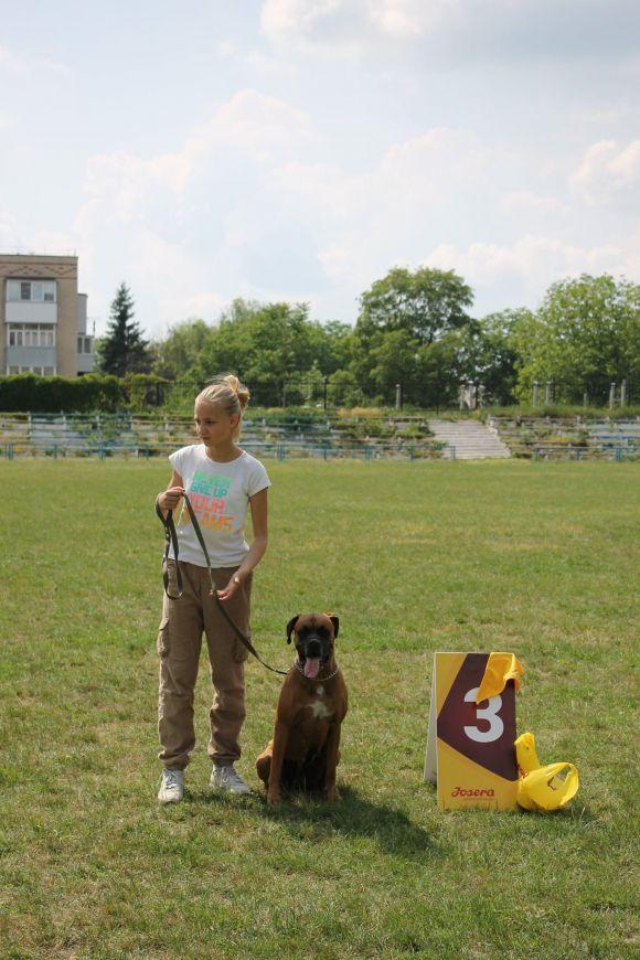 Змагання чотирилапих: яких собак можна було побачити на виставці у Кам’янці? (ФОТОЗВІТ), фото №11 на сайті 20minut.ua