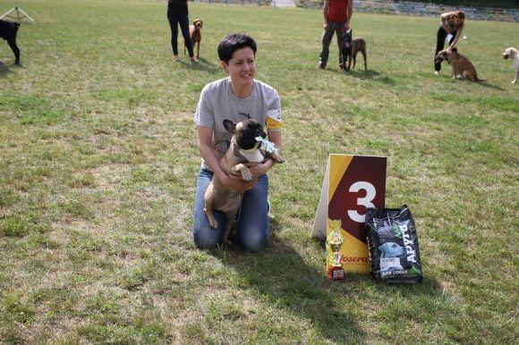 Змагання чотирилапих: яких собак можна було побачити на виставці у Кам’янці? (ФОТОЗВІТ), фото №20 на сайті 20minut.ua