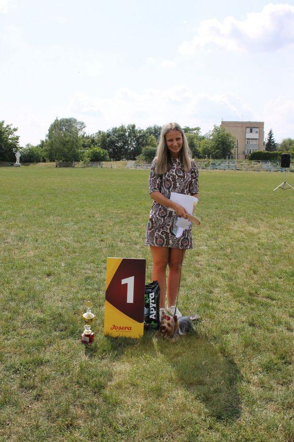 Змагання чотирилапих: яких собак можна було побачити на виставці у Кам’янці? (ФОТОЗВІТ), фото №15 на сайті 20minut.ua