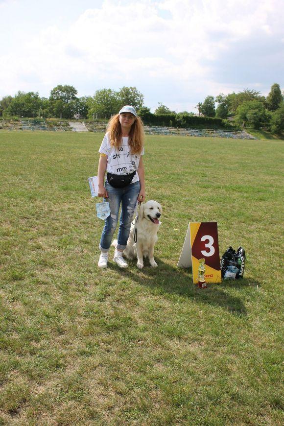Змагання чотирилапих: яких собак можна було побачити на виставці у Кам’янці? (ФОТОЗВІТ), фото №17 на сайті 20minut.ua