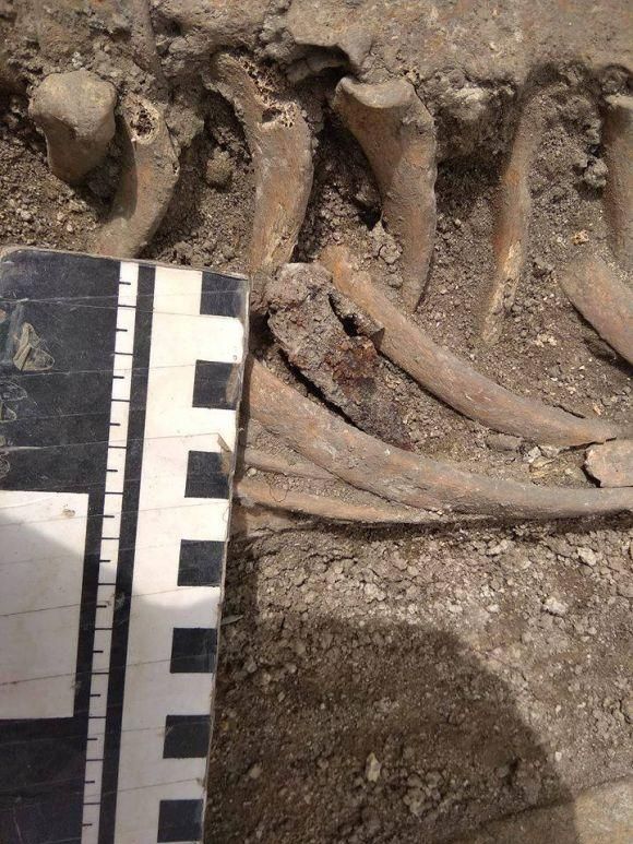 Новини Хмельницького - фото з Кам’янець відкриває таємниці: під час розкопок у фортеці археологи виявили цікаві знахідки Кам’янець відкриває таємниці: під час розкопок у фортеці археологи виявили цікаві знахідки, фото №3 на сайті vsim.ua