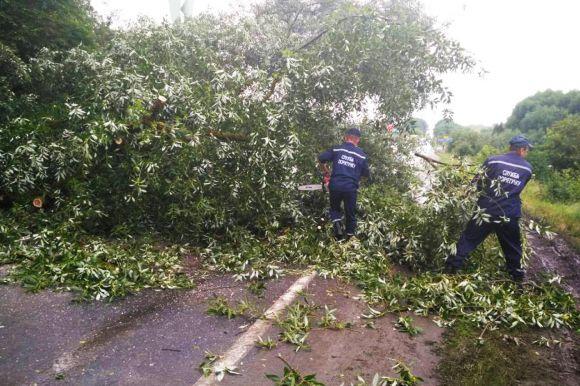 Новини Хмельницького - фото з На Волочищині штормовий вітер повалив дерево просто на проїжджу частину На Волочищині штормовий вітер повалив дерево просто на проїжджу частину, фото №1 на сайті vsim.ua