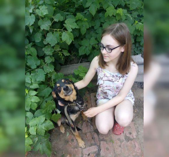 #Прихисти безпритульну тварину. Мер Вінниці запустив флешмоб, фото №1 на сайті 20minut.ua