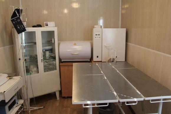 Дах, їжа та лікарня для чотирилапих. На Гонти діє муніципальний притулок, фото №3 на сайті 20minut.ua