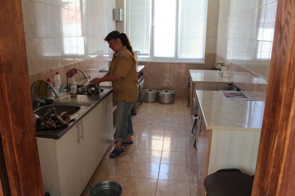 Дах, їжа та лікарня для чотирилапих. На Гонти діє муніципальний притулок, фото №4 на сайті 20minut.ua