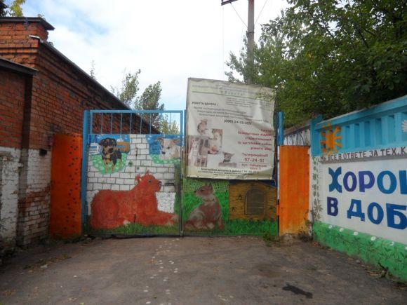 Новини Вінниці - фото з Дах, їжа та лікарня для чотирилапих. На Гонти діє муніципальний притулок Дах, їжа та лікарня для чотирилапих. На Гонти діє муніципальний притулок, фото №5 на сайті 20minut.ua