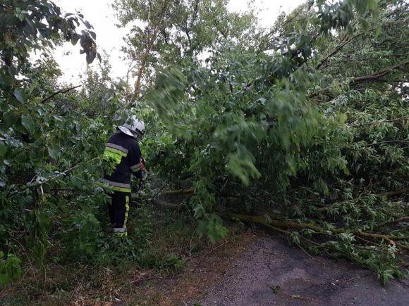 Новини Кам'янця-Подільського - фото з На Кам’янеччині гроза повалила дерева на проїжджу частину (ФОТО) На Кам’янеччині гроза повалила дерева на проїжджу частину (ФОТО), фото №1 на сайті 20minut.ua