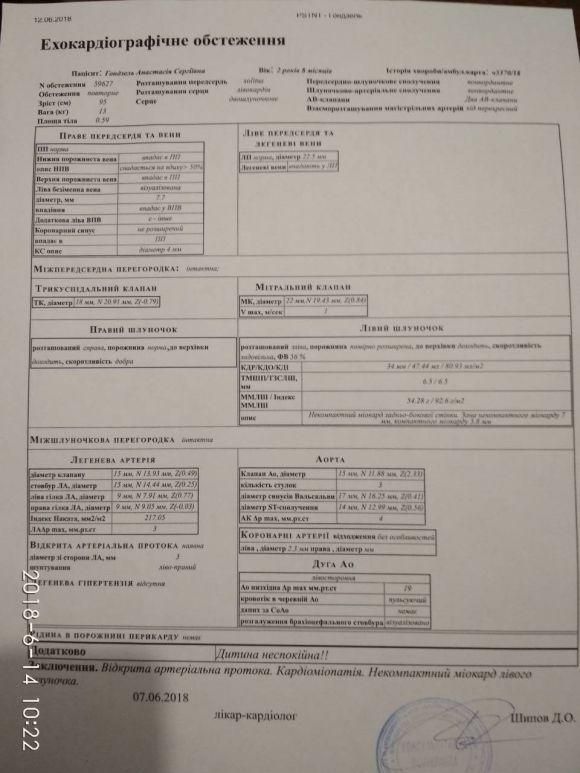 Новини Вінниці - фото з Врятувати життя дворічної Насті зможуть ізраїльські лікарі. Родині потрібна допомога Медичне заключення