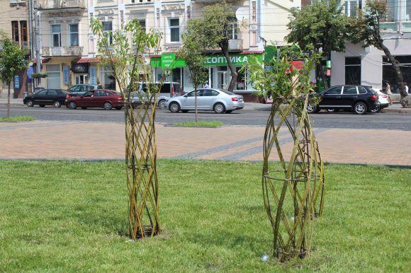 Новини Вінниці - фото з На Соборній висадили плакучі верби з переплетеними стовбурами На Соборній висадили плакучі верби з переплетеними стовбурами, фото №2 на сайті 20minut.ua