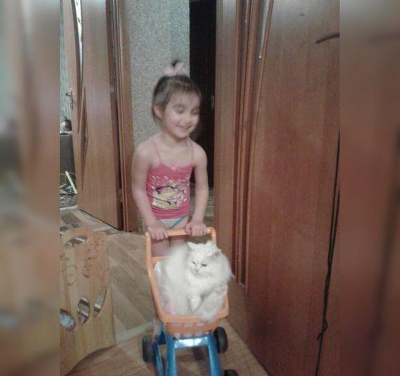 #Прихисти безпритульну тварину. Мер Вінниці запустив флешмоб, фото №3 на сайті 20minut.ua