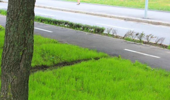 На проспекті Космонавтів водій розвернув авто через тротуар та зіпсував газон, фото №3 на сайті 20minut.ua