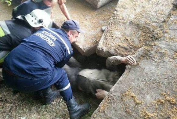 Новини Кам'янця-Подільського - фото з Події у Кам’янці-Подільському, які ви могли пропустити: ТОП-5 новин Події у Кам’янці-Подільському, які ви могли пропустити: ТОП-5 новин, фото №3 на сайті 20minut.ua