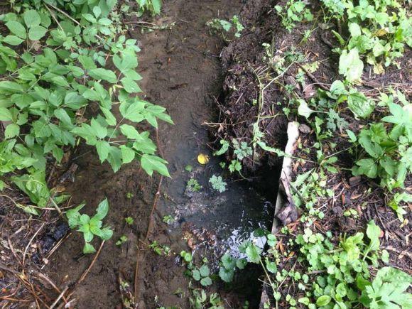 Новини Вінниці - фото з Неналежне облаштування вигрібної ями: вінничанин пустив стічні води у струмок Неналежне облаштування вигрібної ями: вінничанин пустив стічні води у струмок, фото №3 на сайті 20minut.ua