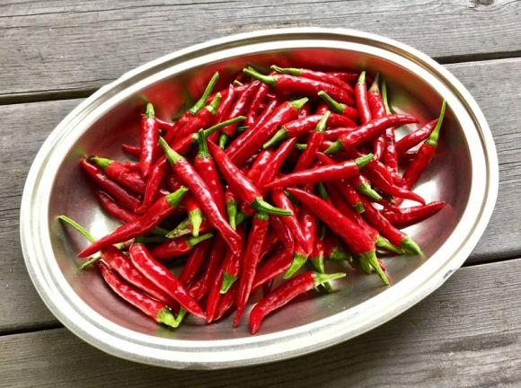 Новини Козятина - фото з Не буде жиру на животі без вправ Не буде жиру на животі без вправ, фото №7 на сайті 20minut.ua