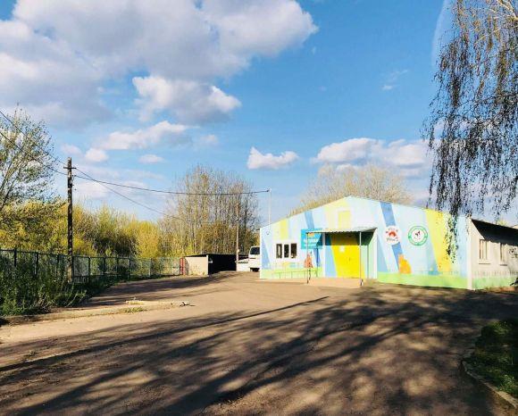 Новини Житомира - фото з У Житомирі запрацював готель для котів У Житомирі запрацював готель для котів, фото №1 на сайті 20minut.ua