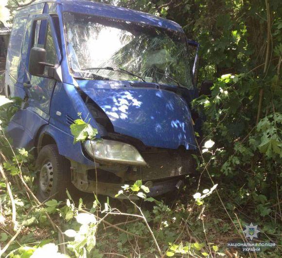 На трасі під час обгону «Mercedes» врізався у «ГАЗ». Постраждала дитина, фото №1 на сайті 20minut.ua