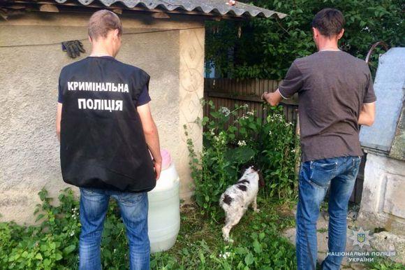 Через коноплю мешканець Віньковеччини може сісти на 10 років, фото №3 на сайті vsim.ua