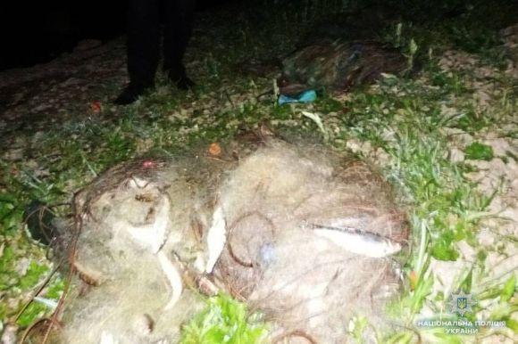 Новини Хмельницького - фото з На Кам'янеччині 49-річний чоловік незаконно виловив більше 150 рибин На Кам'янеччині 49-річний чоловік незаконно виловив більше 150 рибин, фото №1 на сайті vsim.ua