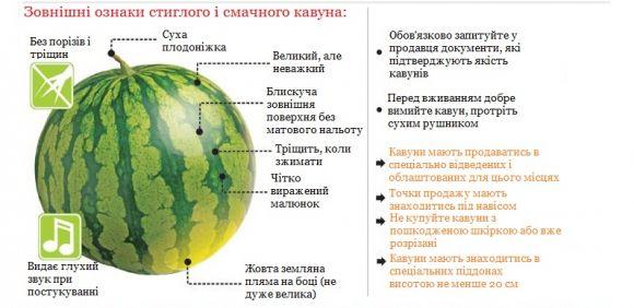 Новини Козятина - фото з Як вибрати кавун без шкоди для здоров’я Як вибрати кавун без шкоди для здоров’я, фото №1 на сайті 20minut.ua