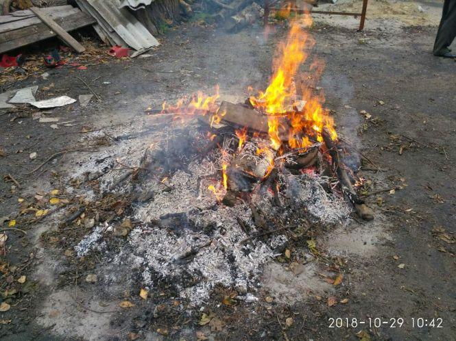 Новини Тернополя - фото з Жек на Київській палив листя і сміття. Люди викликали муніципалів