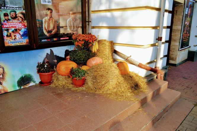 Гарбузи, кажани та монстри: як Хмельницький прикрасили до Хелловіна (ФОТО), фото №5 на сайті vsim.ua