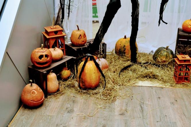 Гарбузи, кажани та монстри: як Хмельницький прикрасили до Хелловіна (ФОТО), фото №4 на сайті vsim.ua