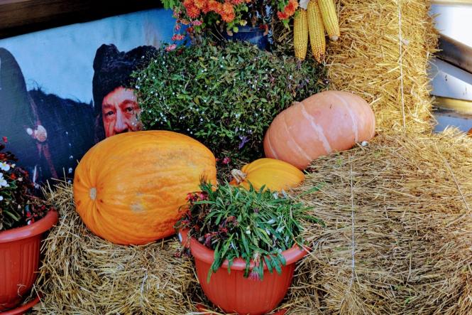 Гарбузи, кажани та монстри: як Хмельницький прикрасили до Хелловіна (ФОТО), фото №9 на сайті vsim.ua
