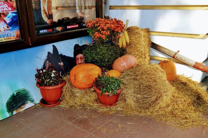 Гарбузи, кажани та монстри: як Хмельницький прикрасили до Хелловіна (ФОТО), фото №8 на сайті vsim.ua