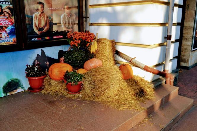Гарбузи, кажани та монстри: як Хмельницький прикрасили до Хелловіна (ФОТО), фото №6 на сайті vsim.ua