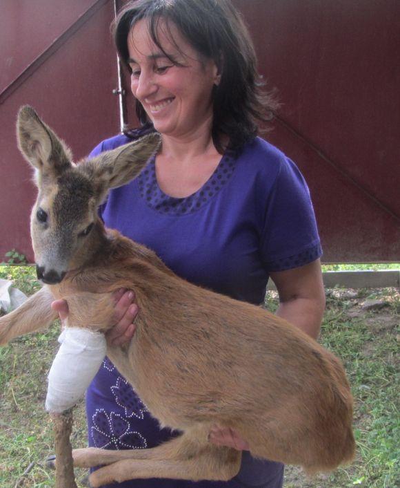 Новини Вінниці - фото з Як вінничани рятують лелеченят, які випали з гнізда під час бурі Як вінничани рятують лелеченят, які випали з гнізда під час бурі, фото №2 на сайті 20minut.ua
