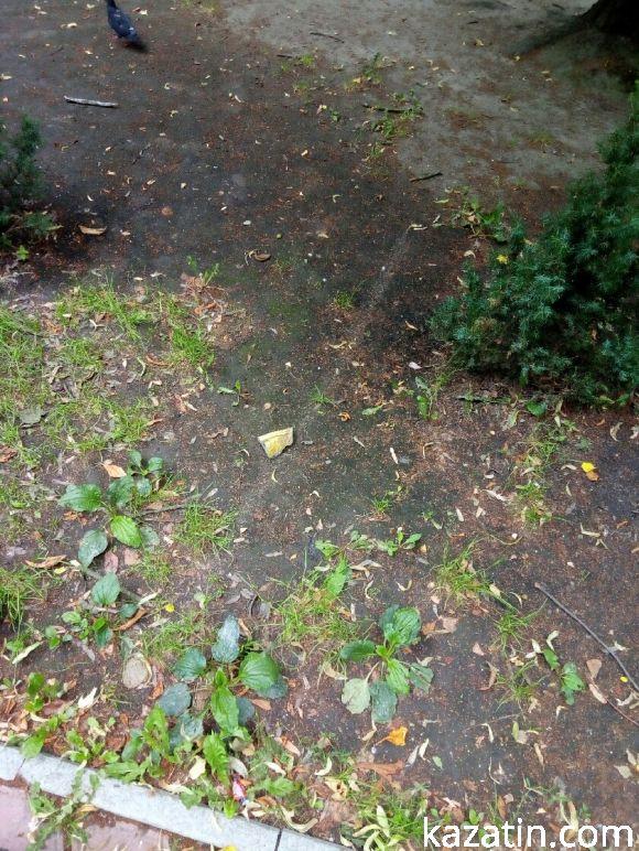 Новини Козятина - фото з На день молоді центральний сквер красувався вже без бюсту Пушкіна. На день молоді центральний сквер красувався вже без бюсту Пушкіна., фото №2 на сайті 20minut.ua