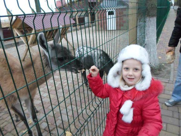 Новини Тернополя - фото з Де на Тернопільщині можна відпочити не за всі гроші Де на Тернопільщині можна відпочити не за всі гроші, фото №5 на сайті 20minut.ua