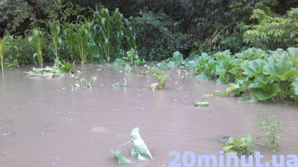 Новини Вінниці - фото з Води по коліна: на Тяжилові затопило будинки. Дісталося й Старому місту Води по коліна: на Тяжилові затопило будинки. Дісталося й Старому місту, фото №1 на сайті 20minut.ua