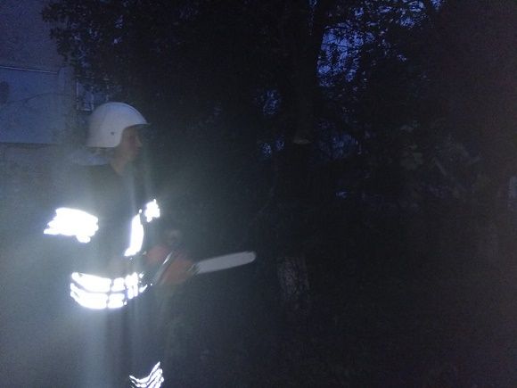 Новини Кам'янця-Подільського - фото з У Кам’янці сильний вітер повалив дерево на проїжджу частину (ФОТО) У Кам’янці сильний вітер повалив дерево на проїжджу частину (ФОТО), фото №1 на сайті 20minut.ua