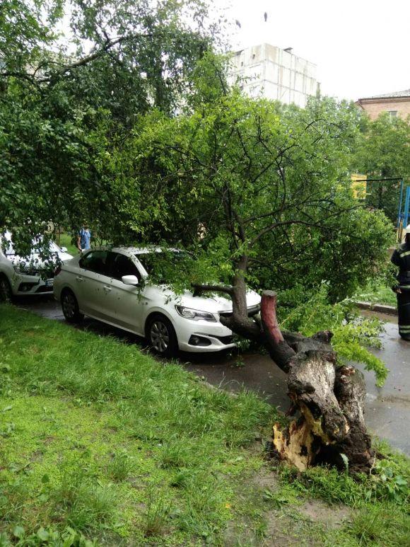 Новини Вінниці - фото з Буревій у Вінниці: на Литвиненка  дерево завалило автівку Буревій у Вінниці: на Литвиненка  дерево завалило автівку, фото №2 на сайті 20minut.ua